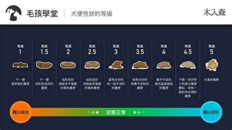 採到狗大便|狗狗大便 透漏健康資訊？一張圖看懂狗狗便便健康程。